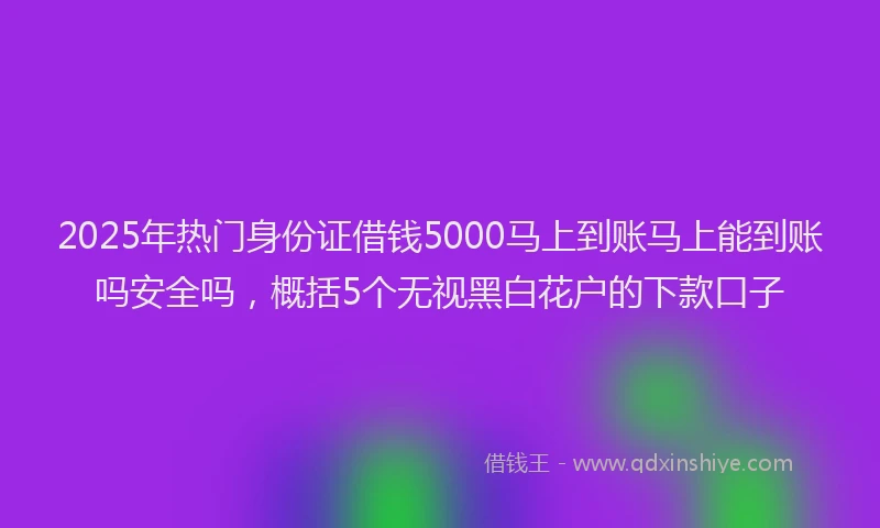 2025年热门身份证借钱5000马上到账马上能到账吗安全吗，概括5个无视黑白花户的下款口子