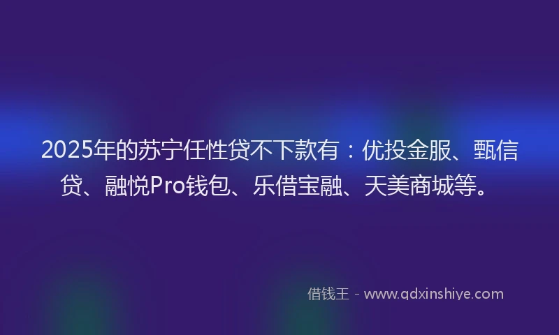 2025年的苏宁任性贷不下款有：优投金服、甄信贷、融悦Pro钱包、乐借宝融、天美商城等。