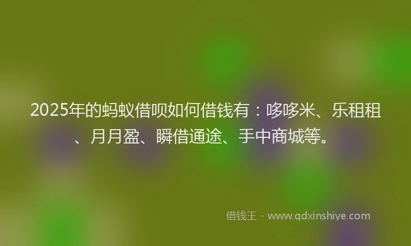 2025年的蚂蚁借呗如何借钱有：哆哆米、乐租租、月月盈、瞬借通途、手中商城等。