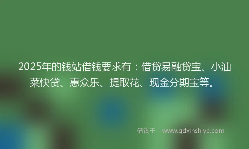 2025年的钱站借钱要求有：借贷易融贷宝、小油菜快贷、惠众乐、提取花、现金分期宝等。