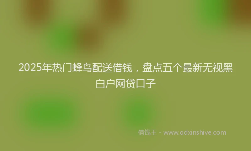 2025年热门蜂鸟配送借钱,盘点五个最新无视黑白户网贷口子