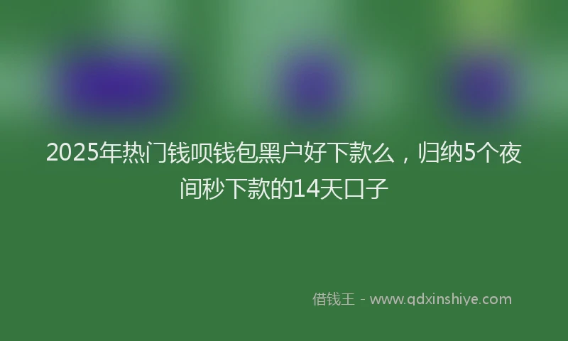 2025年热门钱呗钱包黑户好下款么，归纳5个夜间秒下款的14天口子