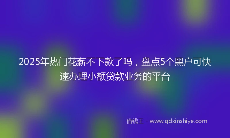 2025年热门花薪不下款了吗,盘点5个黑户可快速办理小额贷款业务的平台