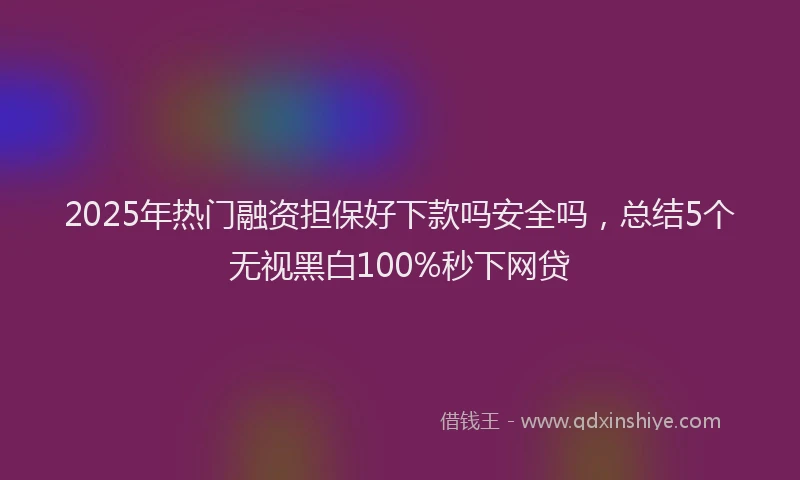 2025年热门融资担保好下款吗安全吗，总结5个无视黑白100%秒下网贷