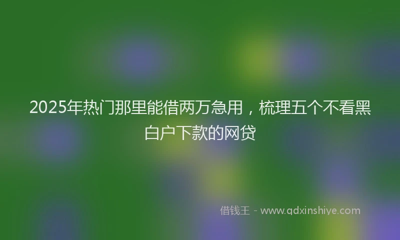 2025年热门那里能借两万急用，梳理五个不看黑白户下款的网贷