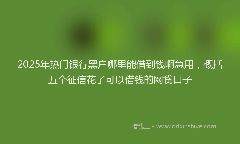 2025年热门银行黑户哪里能借到钱啊急用，概括五个征信花了可以借钱的网贷口子