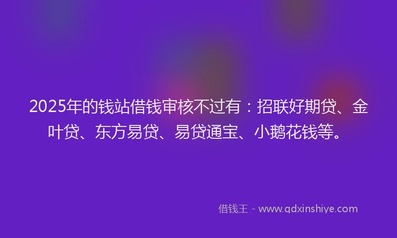 2025年的钱站借钱审核不过有：招联好期贷、金叶贷、东方易贷、易贷通宝、小鹅花钱等。
