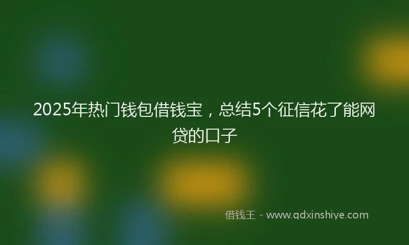 2025年热门钱包借钱宝，总结5个征信花了能网贷的口子