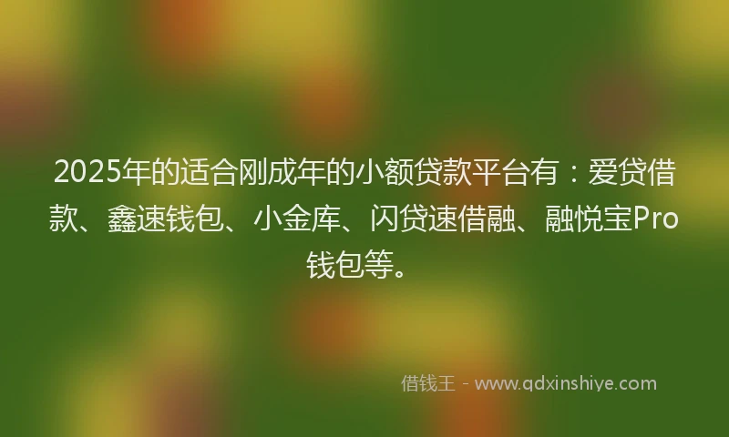 2025年的适合刚成年的小额贷款平台有：爱贷借款、鑫速钱包、小金库、闪贷速借融、融悦宝Pro钱包等。