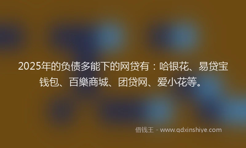 2025年的负债多能下的网贷有：哈银花、易贷宝钱包、百樂商城、团贷网、爱小花等。