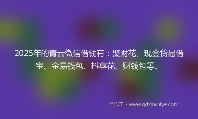 2025年的青云微信借钱有：聚财花、现金贷易借宝、金易钱包、抖享花、财钱包等。
