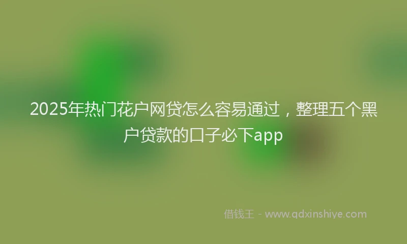 2025年热门花户网贷怎么容易通过，整理五个黑户贷款的口子必下app