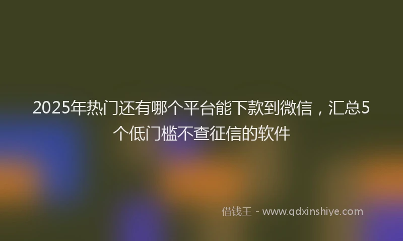 2025年热门还有哪个平台能下款到微信,汇总5个低门槛不查征信的软件