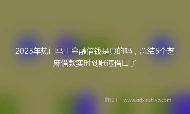 2025年热门马上金融借钱是真的吗，总结5个芝麻借款实时到账速借口子