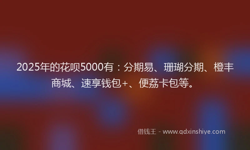 2025年的花呗5000有：分期易、珊瑚分期、橙丰商城、速享钱包+、便荔卡包等。