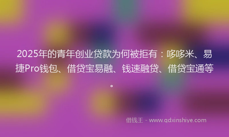 2025年的青年创业贷款为何被拒有：哆哆米、易捷Pro钱包、借贷宝易融、钱速融贷、借贷宝通等。