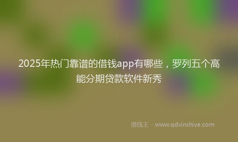 2025年热门靠谱的借钱app有哪些，罗列五个高能分期贷款软件新秀