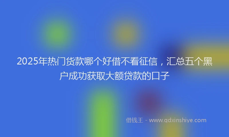2025年热门货款哪个好借不看征信，汇总五个黑户成功获取大额贷款的口子