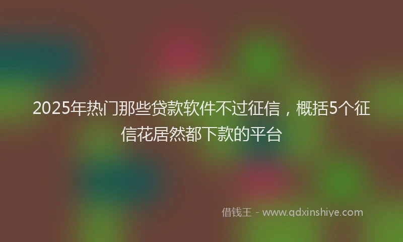 2025年热门那些贷款软件不过征信，概括5个征信花居然都下款的平台