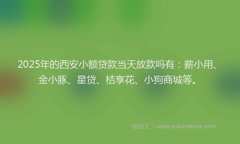 2025年的西安小额贷款当天放款吗有：薪小用、金小豚、星贷、桔享花、小狗商城等。