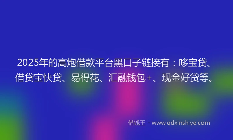 2025年的高炮借款平台黑口子链接有：哆宝贷、借贷宝快贷、易得花、汇融钱包+、现金好贷等。