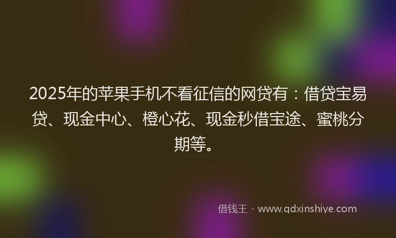 2025年的苹果手机不看征信的网贷有：借贷宝易贷、现金中心、橙心花、现金秒借宝途、蜜桃分期等。