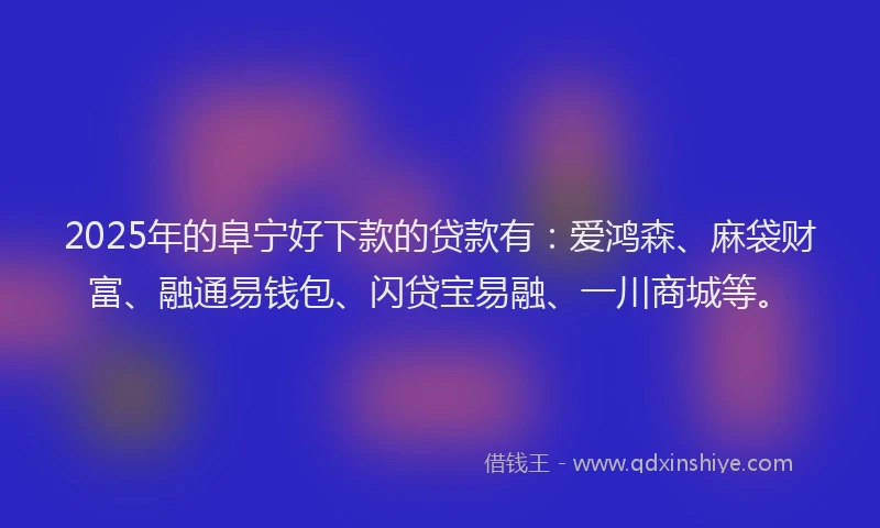 2025年的阜宁好下款的贷款有：爱鸿森、麻袋财富、融通易钱包、闪贷宝易融、一川商城等。