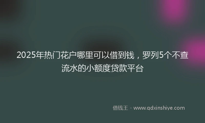 2025年热门花户哪里可以借到钱，罗列5个不查流水的小额度贷款平台
