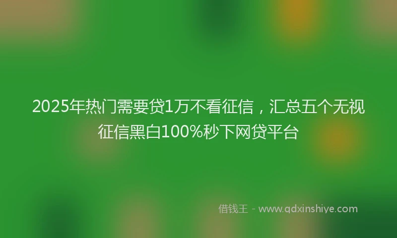 2025年热门需要贷1万不看征信，汇总五个无视征信黑白100%秒下网贷平台