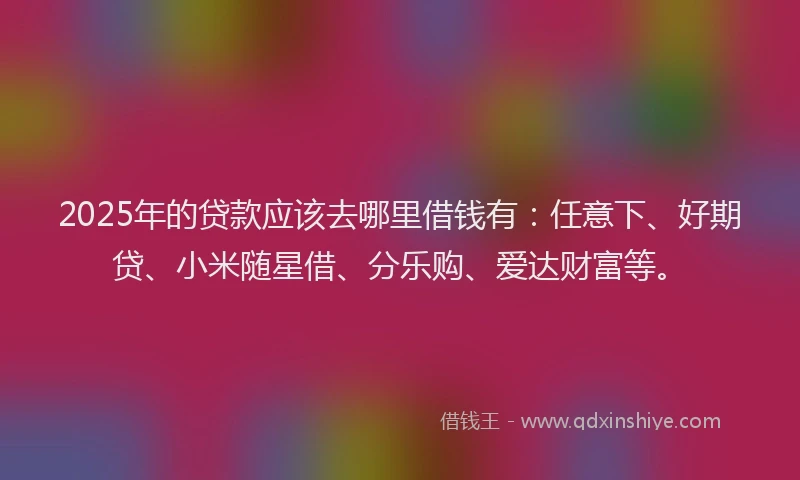 2025年的贷款应该去哪里借钱有：任意下、好期贷、小米随星借、分乐购、爱达财富等。