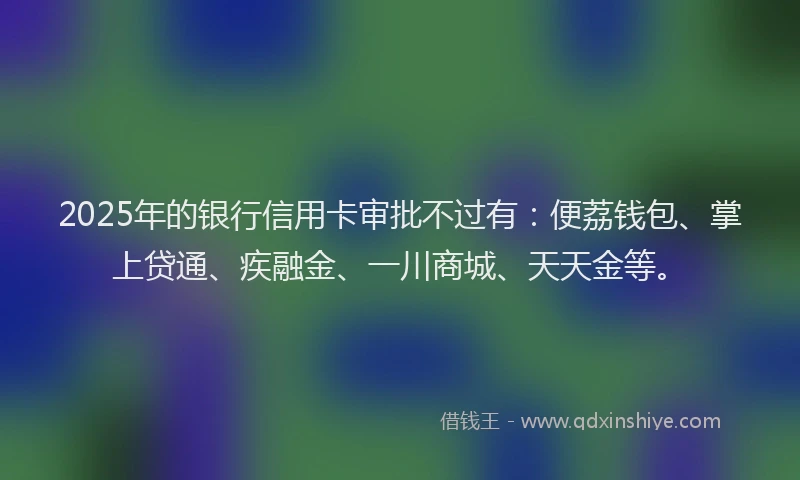 2025年的银行信用卡审批不过有:便荔钱包、掌上贷通、疾融金、一川商城、天天金等。