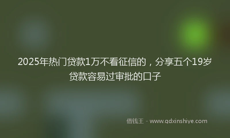 2025年热门贷款1万不看征信的，分享五个19岁贷款容易过审批的口子