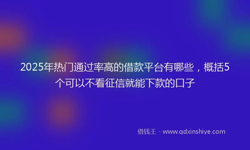 2025年热门通过率高的借款平台有哪些,概括5个可以不看征信就能下款的口子