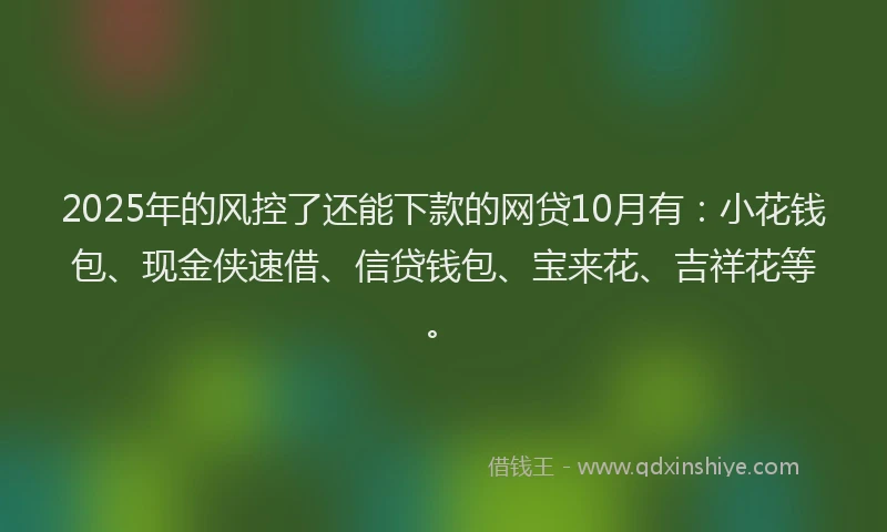 2025年的风控了还能下款的网贷10月有:小花钱包、现金侠速借、信贷钱包、宝来花、吉祥花等。