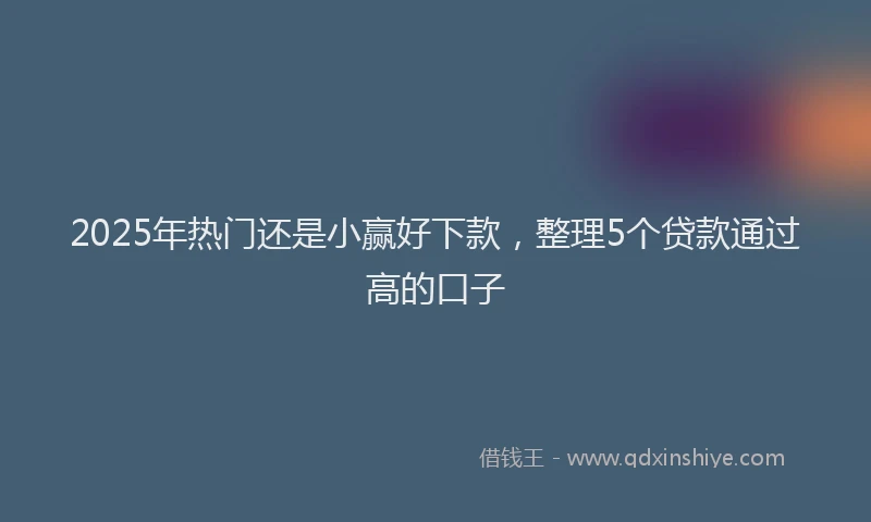 2025年热门还是小赢好下款,整理5个贷款通过高的口子