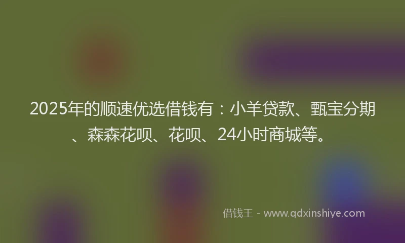 2025年的顺速优选借钱有：小羊贷款、甄宝分期、森森花呗、花呗、24小时商城等。