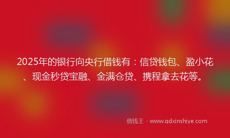 2025年的银行向央行借钱有:信贷钱包、盈小花、现金秒贷宝融、金满仓贷、携程拿去花等。
