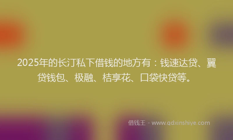 2025年的长汀私下借钱的地方有：钱速达贷、翼贷钱包、极融、桔享花、口袋快贷等。