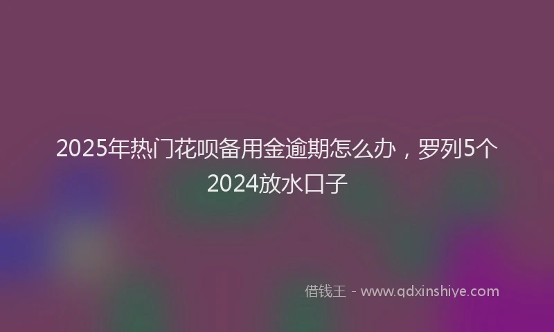 2025年热门花呗备用金逾期怎么办，罗列5个2024放水口子