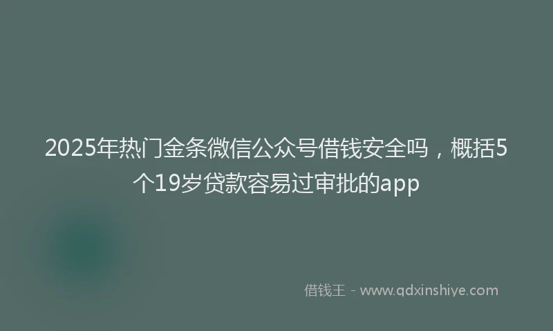 2025年热门金条微信公众号借钱安全吗，概括5个19岁贷款容易过审批的app