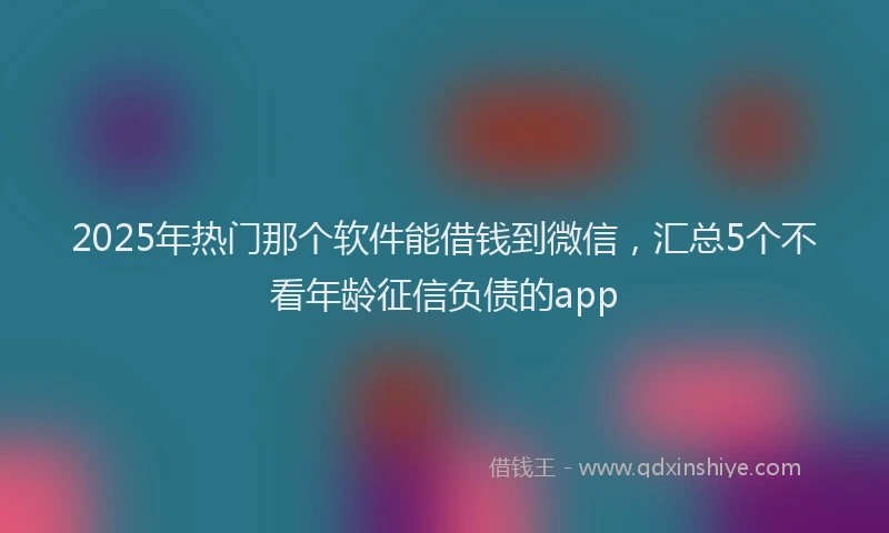 2025年热门那个软件能借钱到微信，汇总5个不看年龄征信负债的app