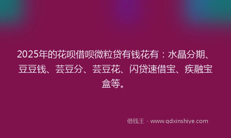 2025年的花呗借呗微粒贷有钱花有:水晶分期、豆豆钱、芸豆分、芸豆花、闪贷速借宝、疾融宝盒等。