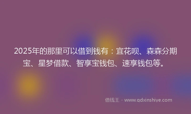 2025年的那里可以借到钱有:宜花呗、森森分期宝、星梦借款、智享宝钱包、速享钱包等。