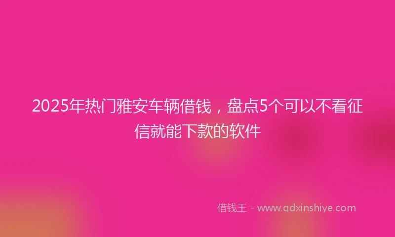 2025年热门雅安车辆借钱，盘点5个可以不看征信就能下款的软件