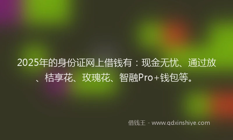 2025年的身份证网上借钱有：现金无忧、通过放、桔享花、玫瑰花、智融Pro+钱包等。
