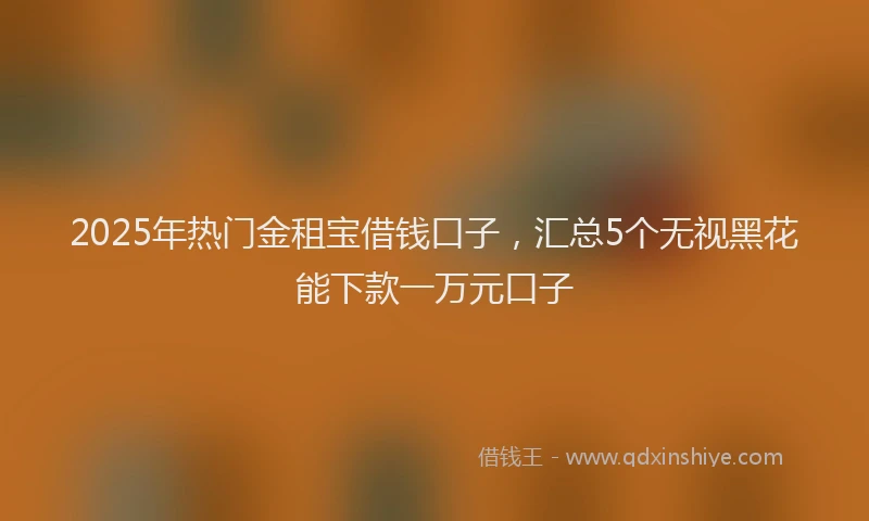 2025年热门金租宝借钱口子,汇总5个无视黑花能下款一万元口子