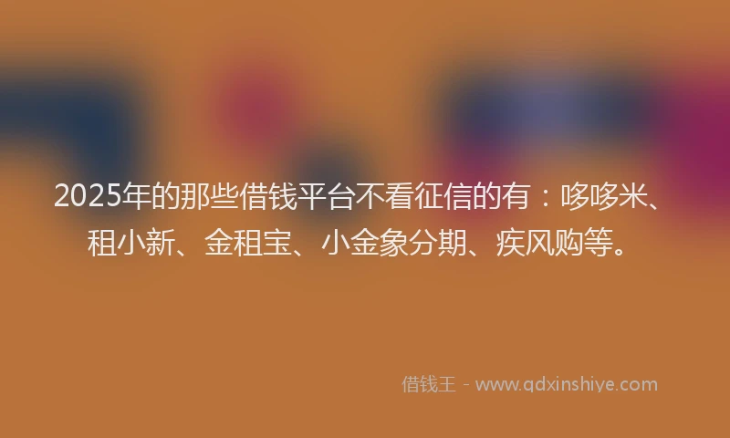2025年的那些借钱平台不看征信的有:哆哆米、租小新、金租宝、小金象分期、疾风购等。