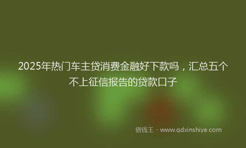 2025年热门车主贷消费金融好下款吗,汇总五个不上征信报告的贷款口子