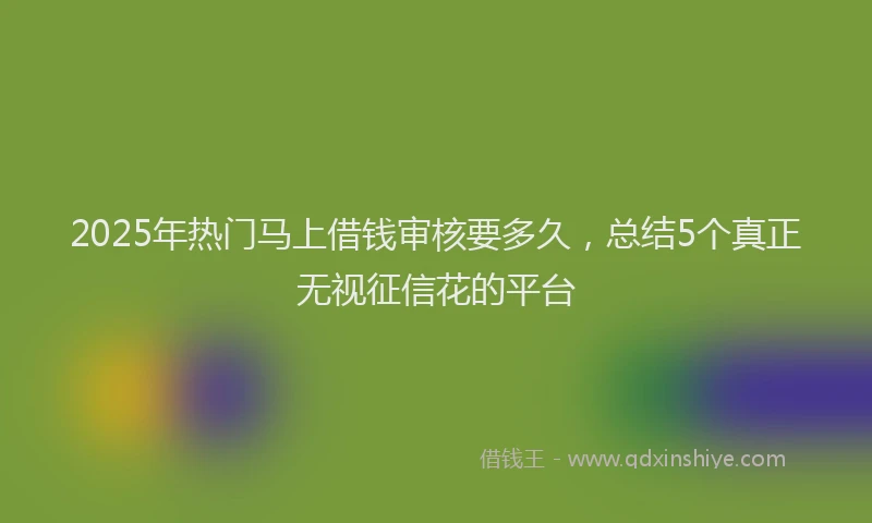 2025年热门马上借钱审核要多久,总结5个真正无视征信花的平台