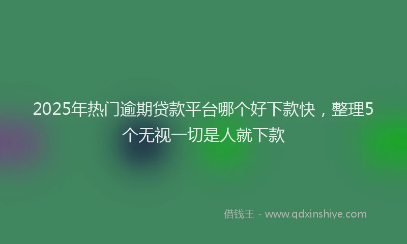 2025年热门逾期贷款平台哪个好下款快，整理5个无视一切是人就下款